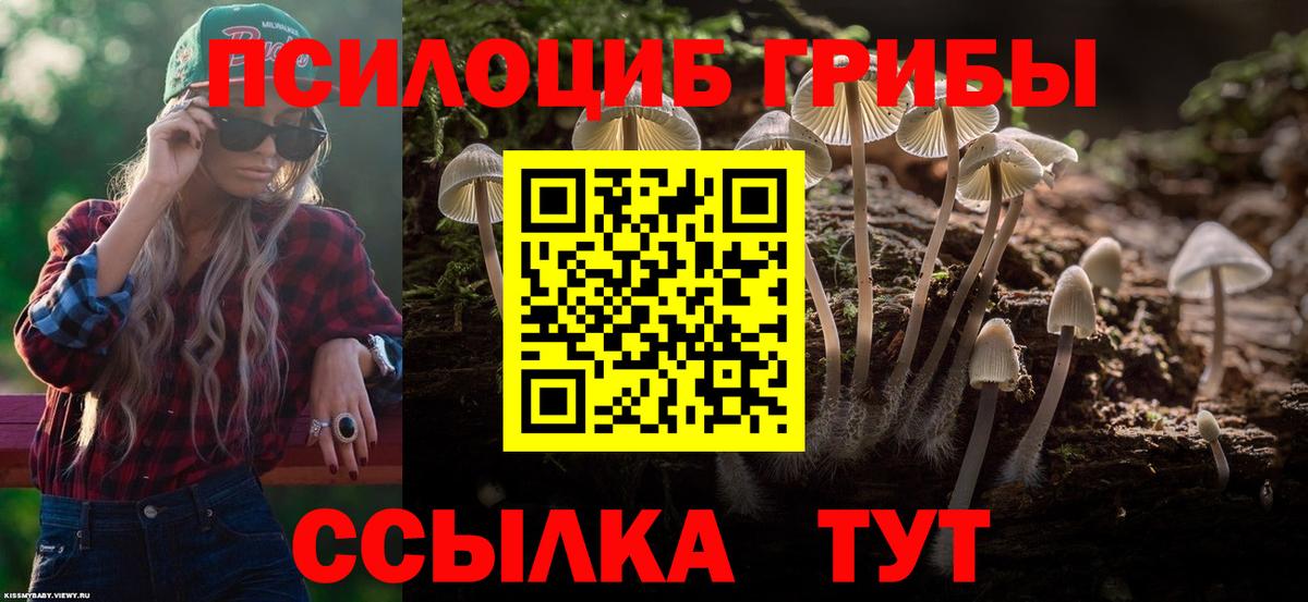 Киров  Галлюциногенные грибы ЛСД  Вход с VPN  Галлюциногенные грибы прущие грибы 